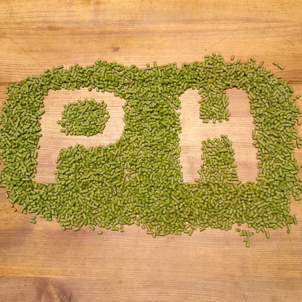 Photographie de pellets de houblon Brewer's Gold